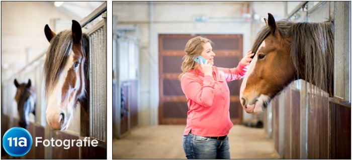 Zakelijke Paardensportfotografie Den Bosch - Fotoreportage voor nieuwe website
