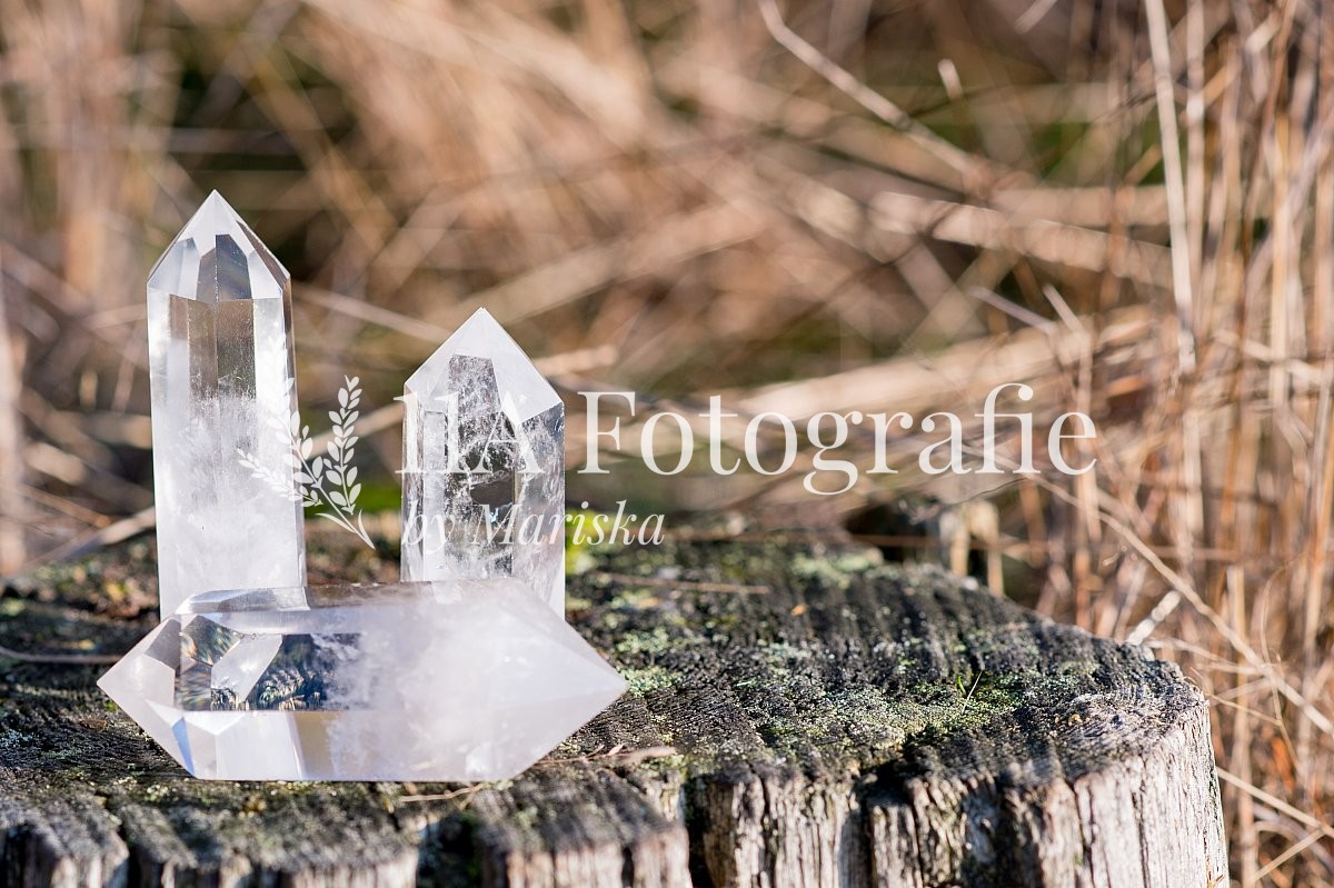 3 Bergkristal punten op een boomstam