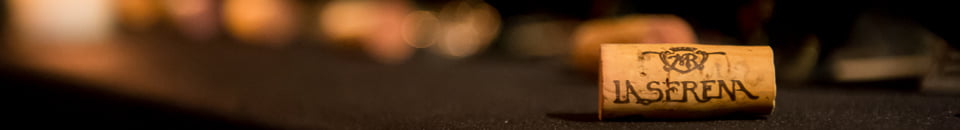 Het resultaat van evenementenfotografie