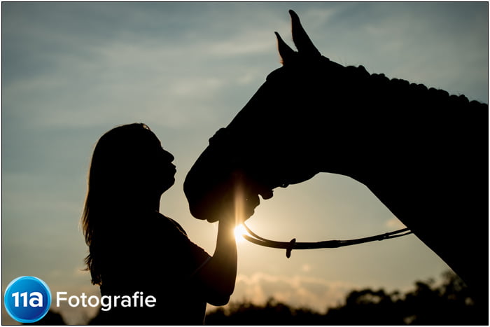 Paardenfotografie Den Bosch - Sportfotoshoot